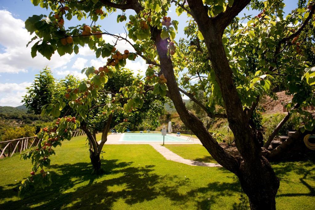 Villa La Cianella - Adult Only à Scarlino Extérieur photo